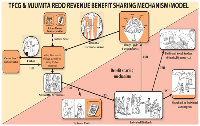 MJUMITA-REDD-Revenue2